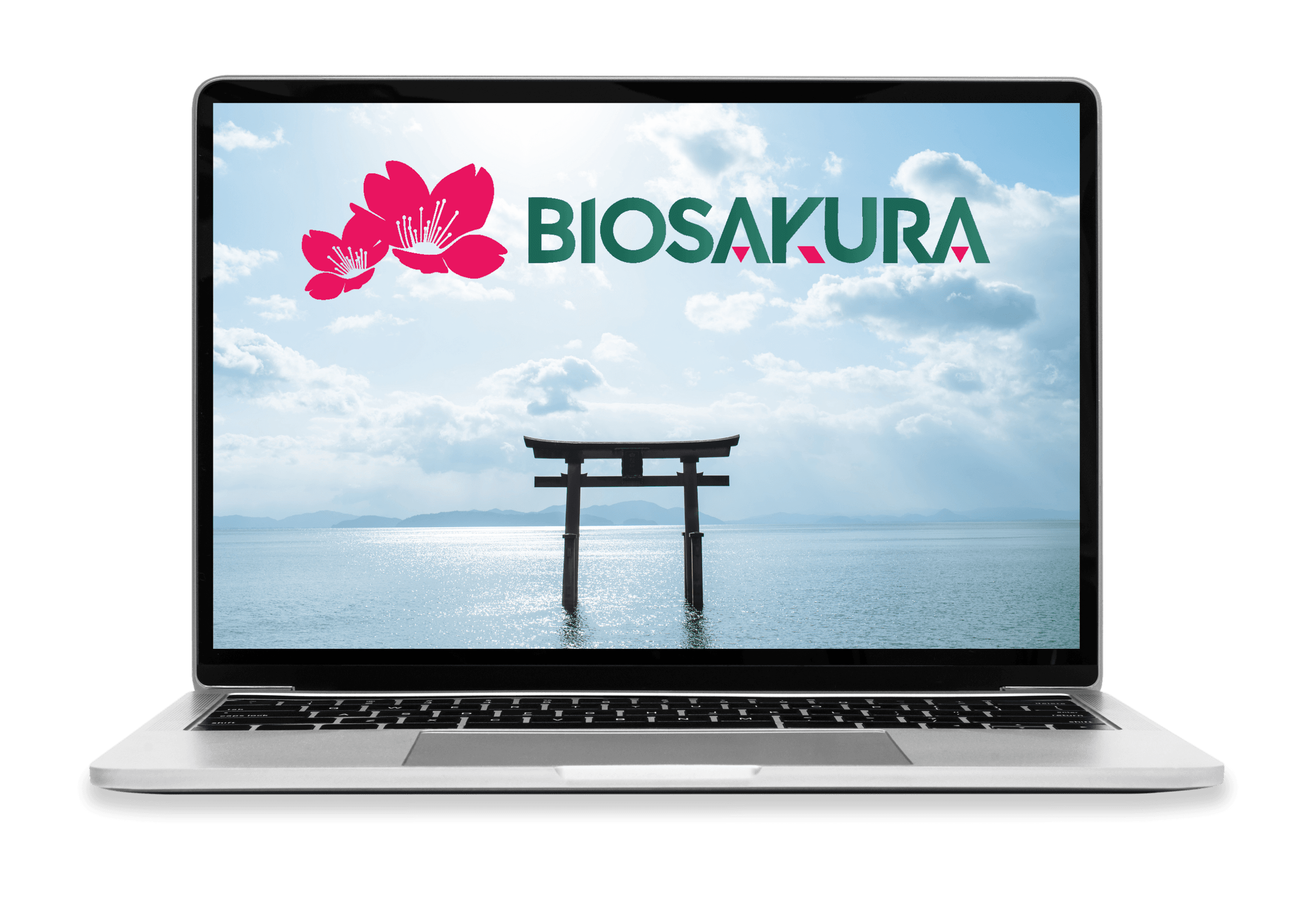 Biosakura Spotlight